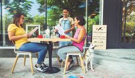 Pet-Friendly Cafes in Dubai 