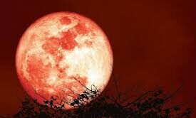 Strawberry Moon