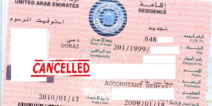 UAE Visa Amnesty