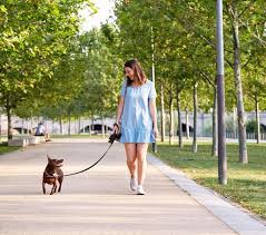 Dog Friendly Parks in Dubai