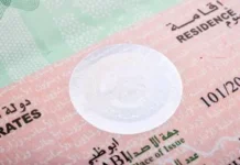 UAE Visa Amnesty