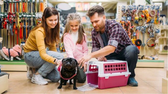 5 Best Pet Shops in Dubai for All Your Pet Supplies Needs