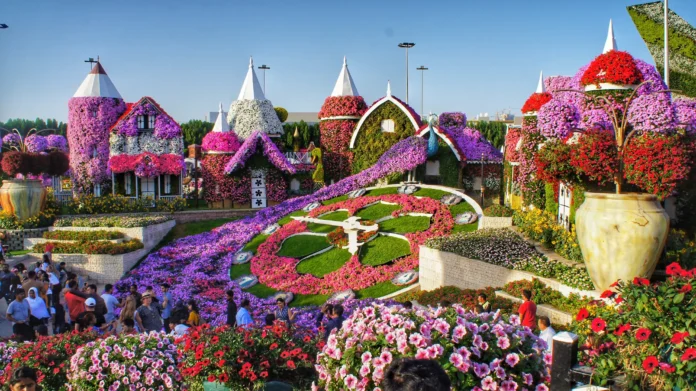 Dubai Miracle Garden: A Floral Wonderland in the Heart of the Desert