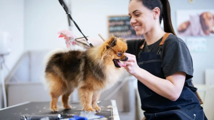 Why Grooming Your Pet is Important? Here are 5 Top Pet Grooming Centers in Dubai