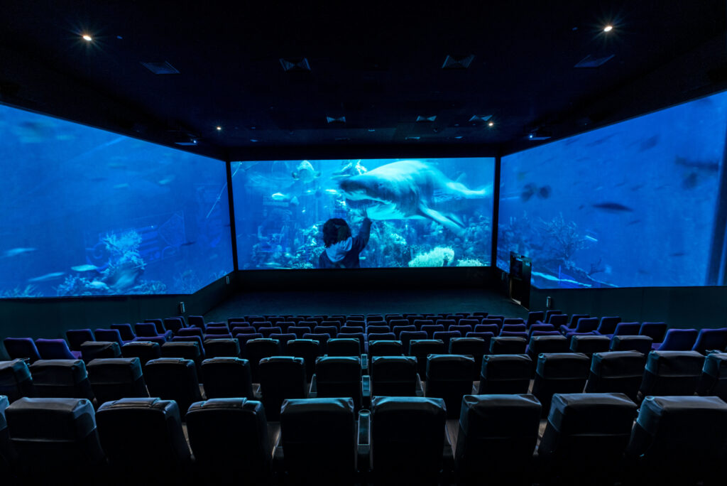 ScreenX, Reel Cinemas, The Dubai Mall