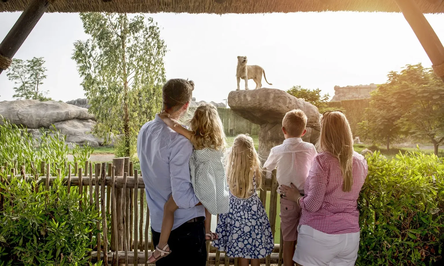 5 Things to Keep in Mind before Planning a Trip to Dubai Safari Park 5 Things to Keep in Mind before Planning a Trip to Dubai Safari Park