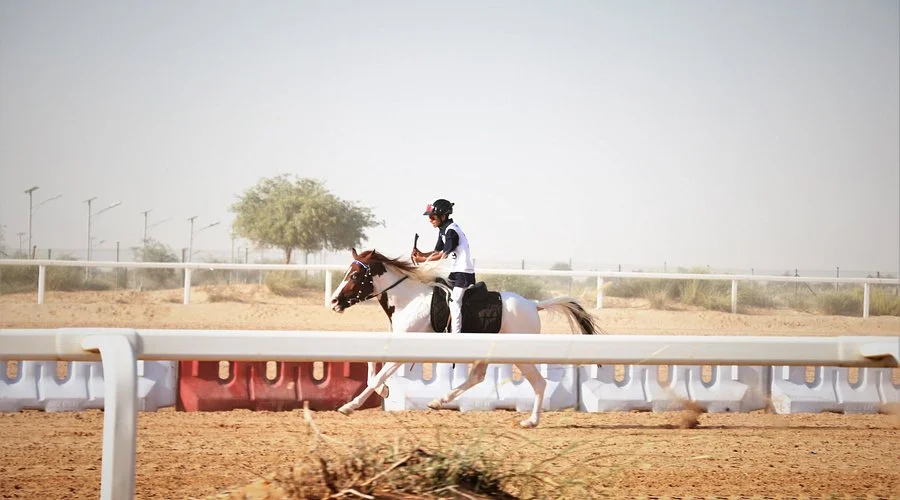 Al Dhabi Horse Riding