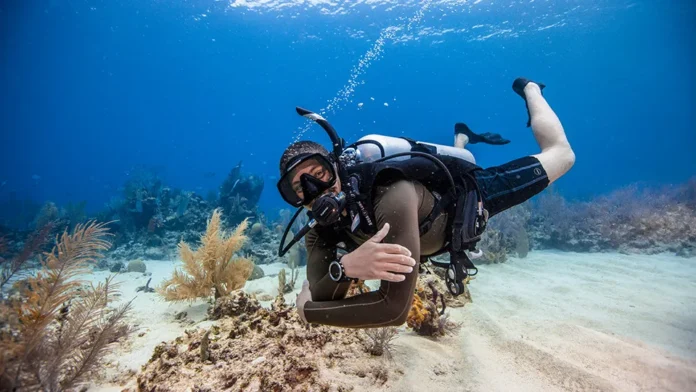 Top 5 Best Scuba Diving Spots in Dubai