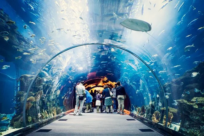 Dubai Aquarium and Underwater Zoo