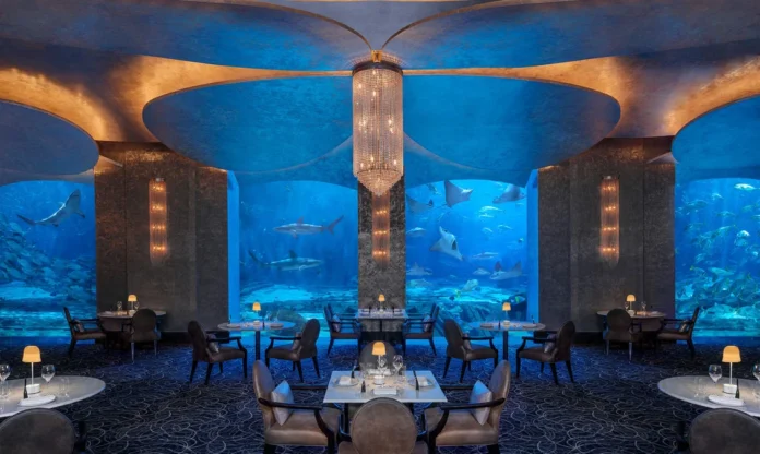 Top 5 Underwater Restaurants in Dubai You Must Explore
