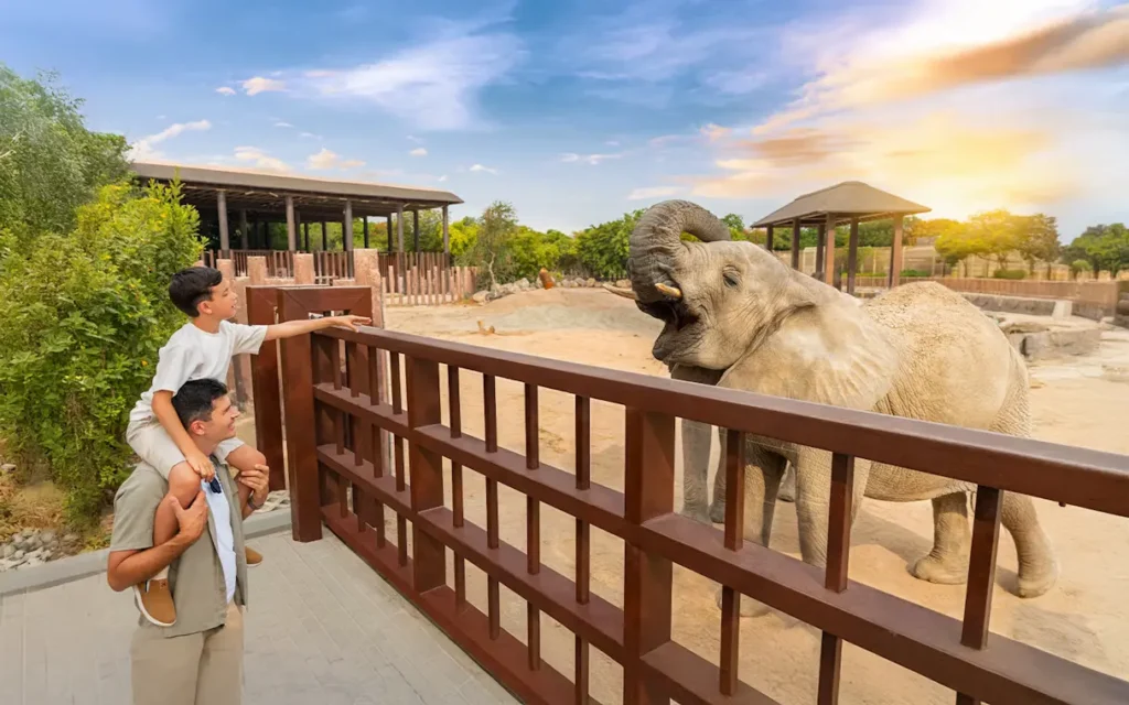 Top 5 Zoos in UAE: Where Wildlife Meets Wonder