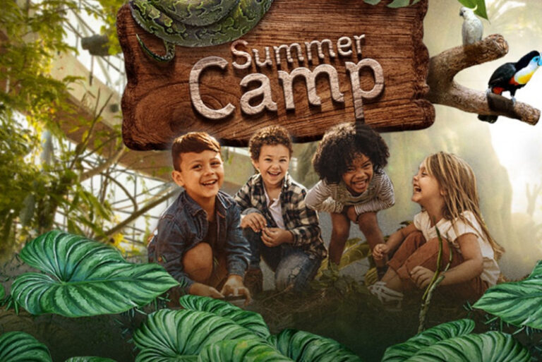 From Jungle Adventures to Creative Workshops, Here Are Top 7 Summer Camps in Dubai to Book Now