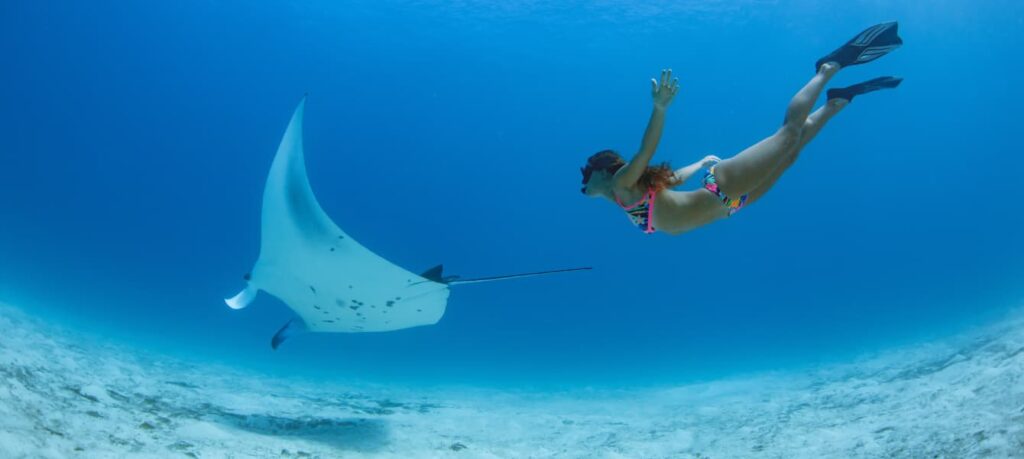 Top 5 Spots for Snorkeling in Dubai – Everything You Need to Know