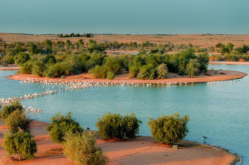 Al Qudra Lakes