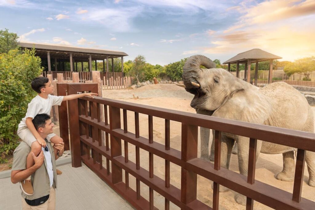Dubai Safari Park Set to Welcome Back Visitors for Season 7 Next Month Dubai Safari Park Set to Welcome Back Visitors for Season 7 Next Month