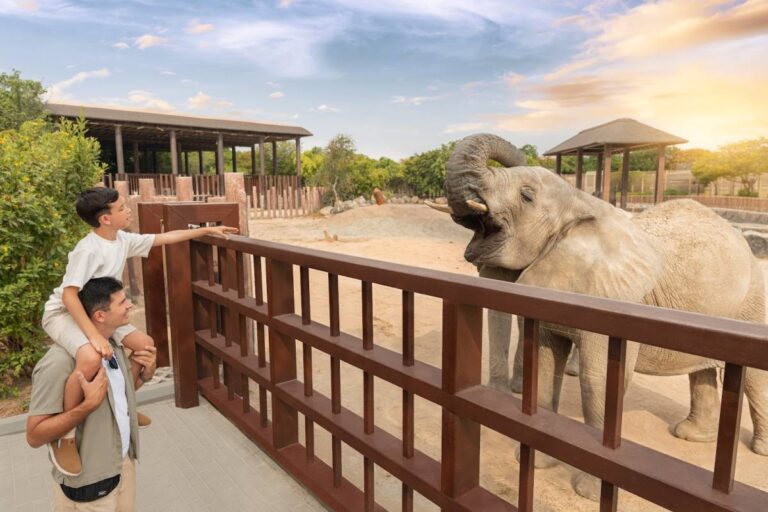 Dubai Safari Park Set to Welcome Back Visitors for Season 7 Next Month