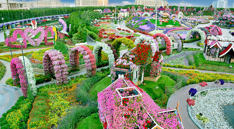 Dubai Miracle Garden