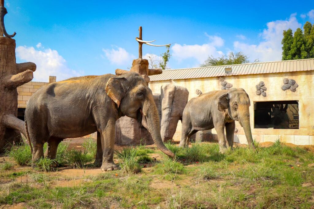 Emirates Park Zoo & Resort