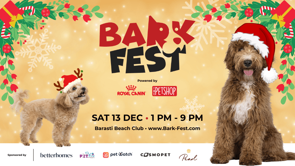 Dubai to Host Barkfest Beach Day at Barasti