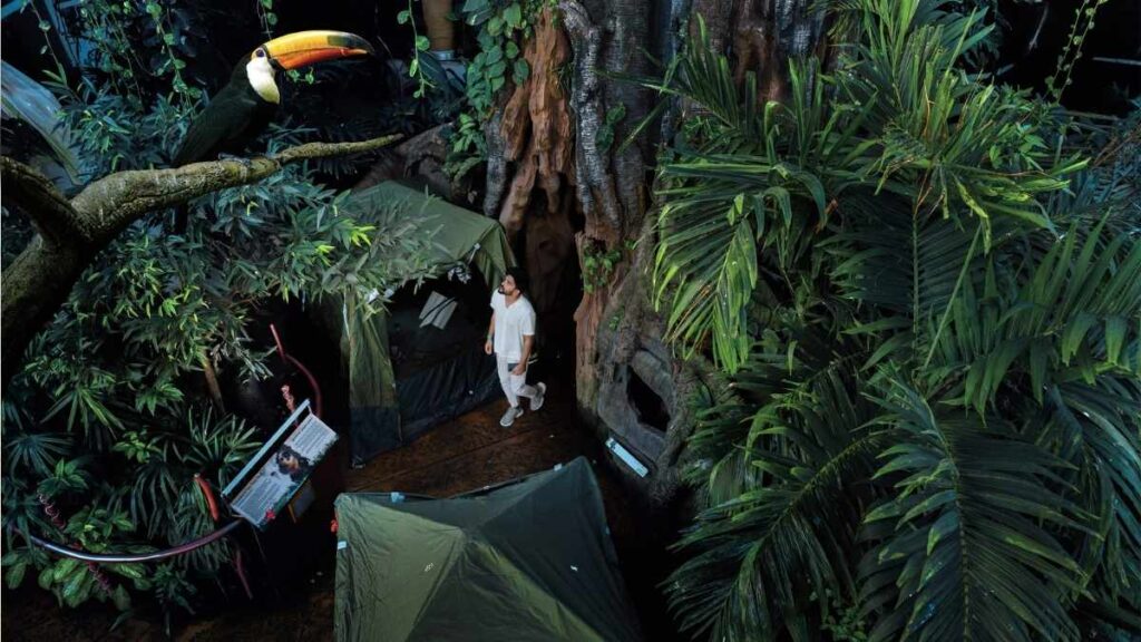 Camp in the Rainforest