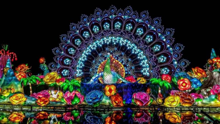 Dubai Garden Glow to Reopen with Two New Parks near Dubai Frame! Dubai Garden Glow to Reopen with Two New Parks near Dubai Frame