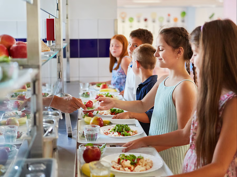 Dubai Launches My School Food Platform to Upgrade Student Nutrition
