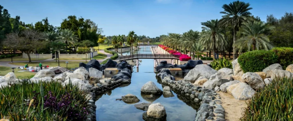Top 7 Picnic Places in Dubai to Enjoy the Great Outdoors