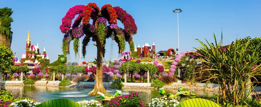 Top Picnic Places in Dubai